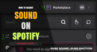Adjusting Spotify Sound: Tips and Tricks