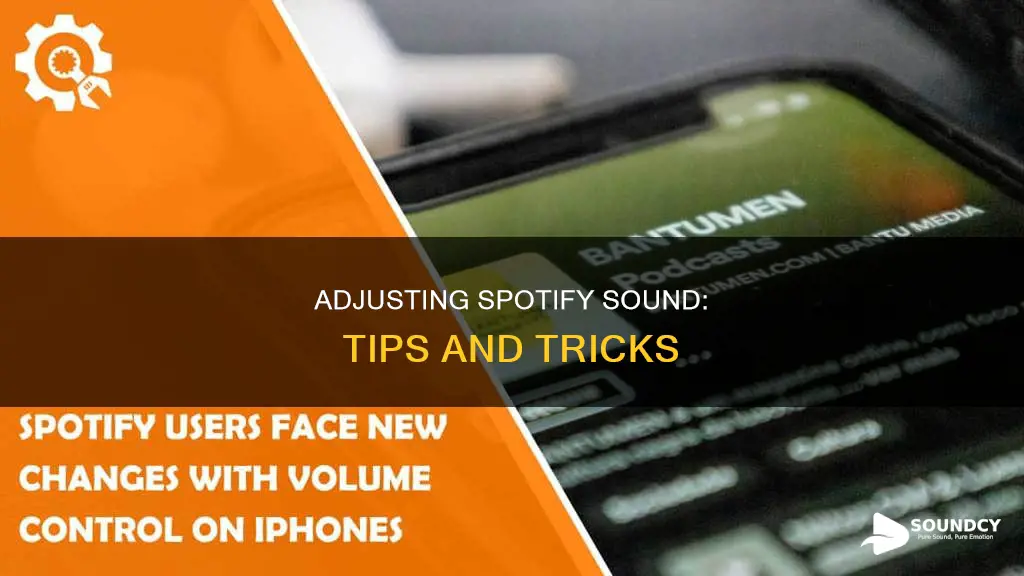 how to adjust sound on spotify