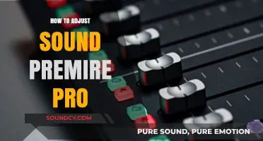 Mastering Audio: How to Adjust Sound in Premiere Pro Easily