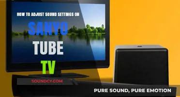 Mastering Audio: Adjusting Sound Settings on Your Sanyo Tube TV