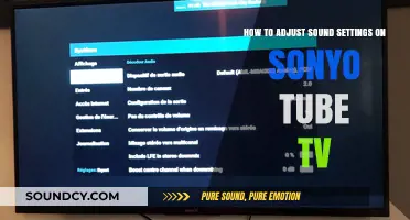 Mastering Sound Settings on Your Sony Tube TV: A Quick Guide