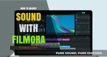 Mastering Audio Editing: Adjust Sound in Filmora Like a Pro