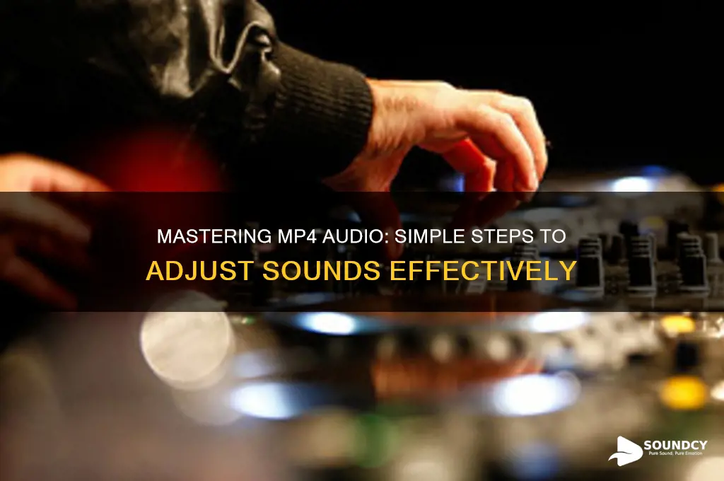 how to adjust sounds on mp4