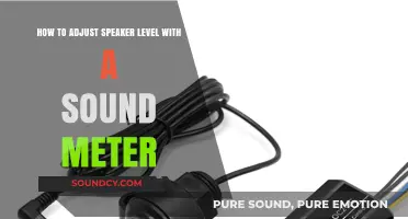 Mastering Speaker Levels: A Sound Meter Adjustment Guide