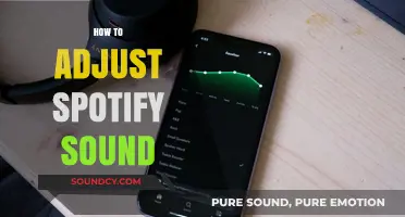 Master Your Spotify Audio: Easy Steps to Adjust Sound Settings