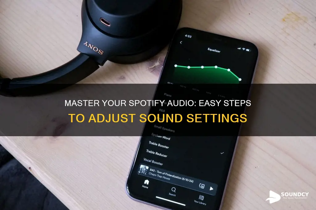 how to adjust spotify sound