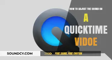 Mastering QuickTime: Simple Steps to Adjust Video Sound Levels