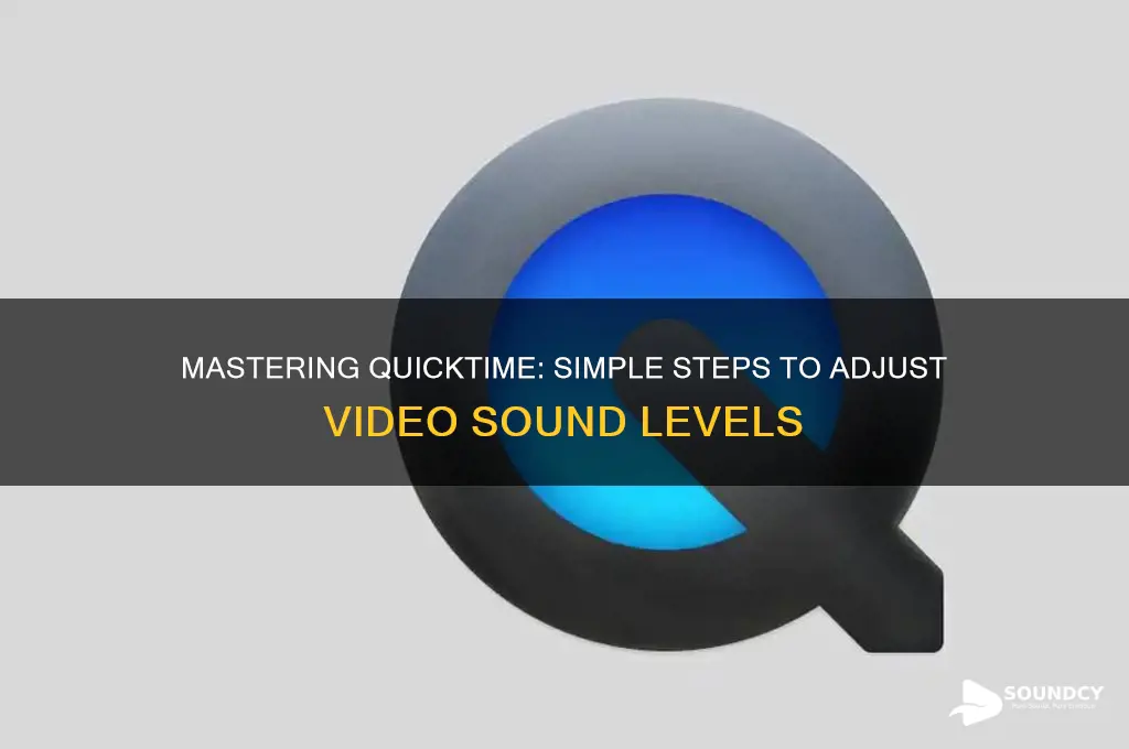 how to adjust the sound on a quicktime vidoe