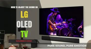 Mastering Audio Settings: Adjusting Sound on Your LG OLED TV