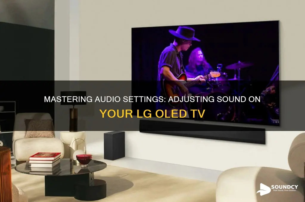 how to adjust the sound on lg oled tv