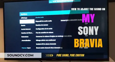 Mastering Audio Settings: Adjusting Sound on Your Sony Bravia TV