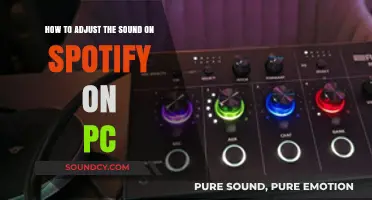 Master Spotify Sound Settings: Easy PC Audio Adjustment Guide