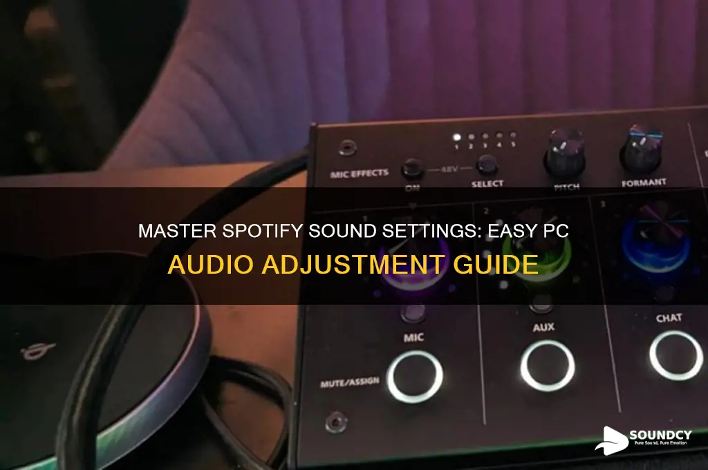 how to adjust the sound on spotify on pc