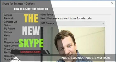 Mastering Audio Settings: A Guide to Adjusting Sound on New Skype