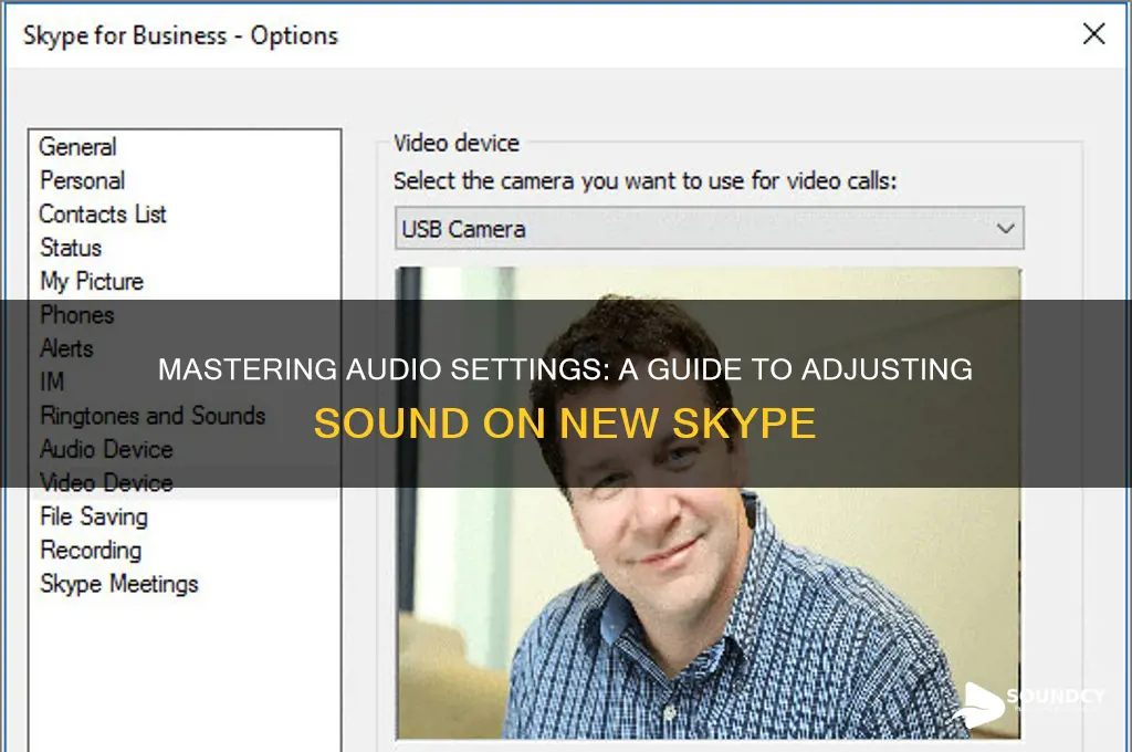 how to adjust the sound on the new skype