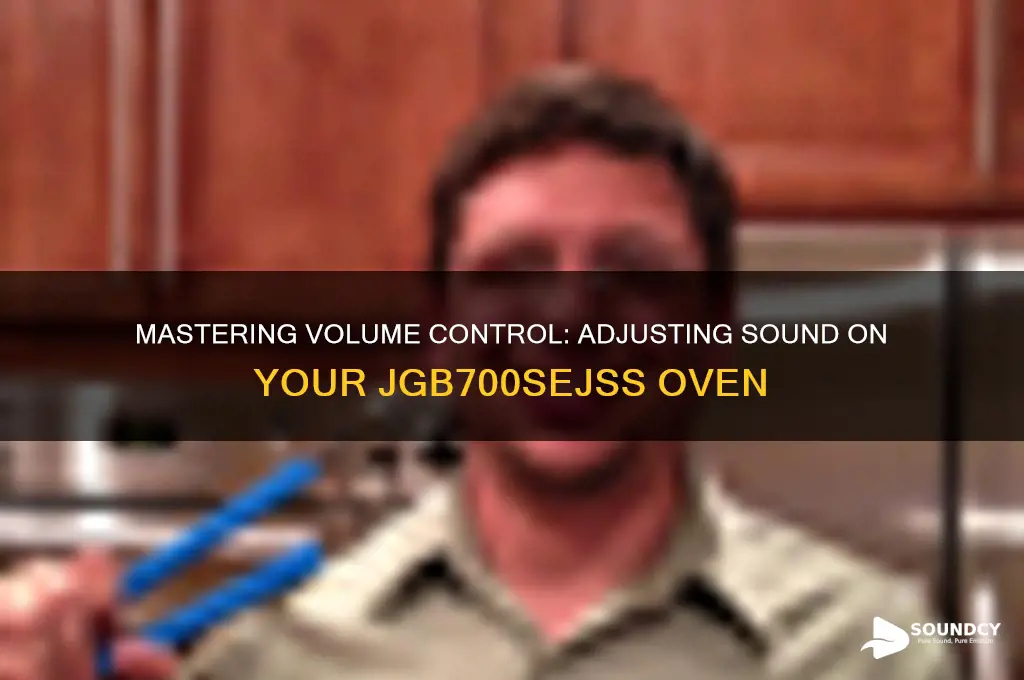 how to adjust the sound volume on a jgb700sejss