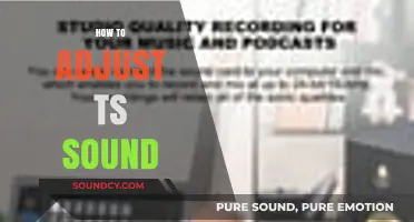 Mastering Audio: Essential Tips to Adjust and Enhance Your TS Sound