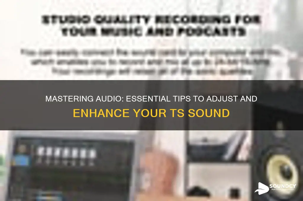 how to adjust ts sound