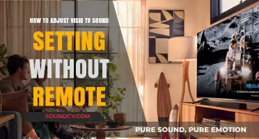 Adjust Visio TV Sound Settings Without Remote: Easy Guide
