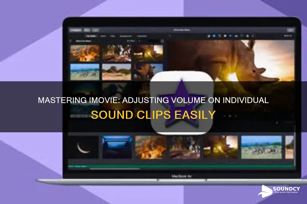 how to adjust volume on indiviual sound pieces imovie
