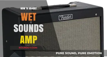 Mastering Wet Sounds Amp Adjustment: A Step-by-Step Guide for Optimal Performance