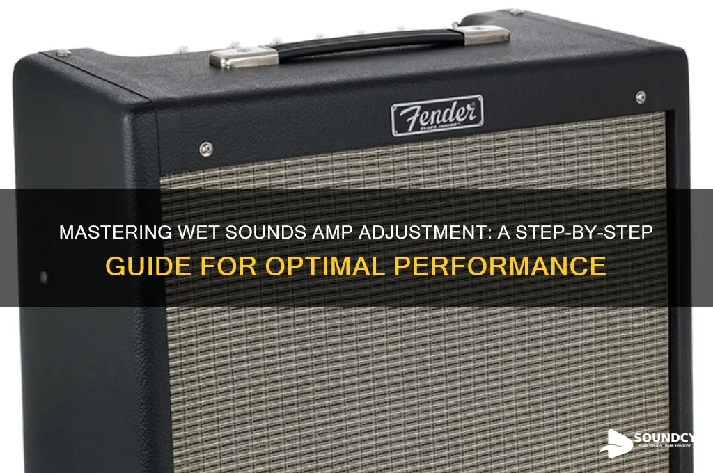 how to adjust wet sounds amp