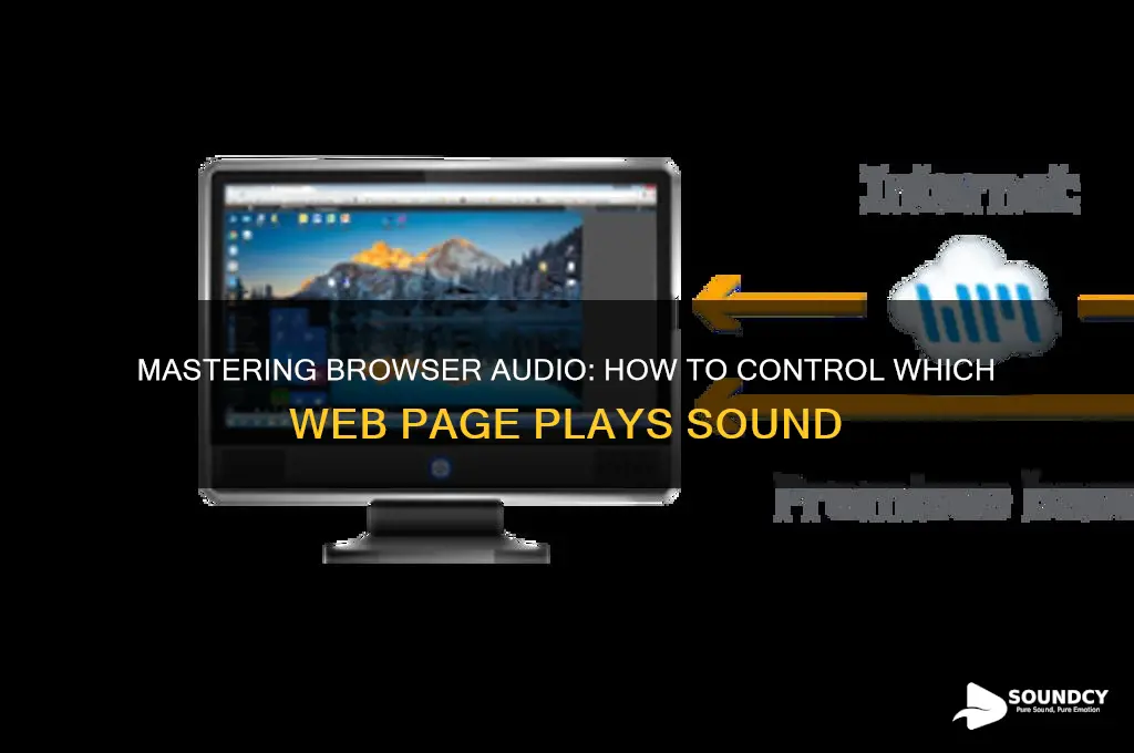 how to adjust which web page puts out sound