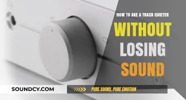 Mastering Audio Balance: Quieting Tracks Without Sacrificing Sound Quality