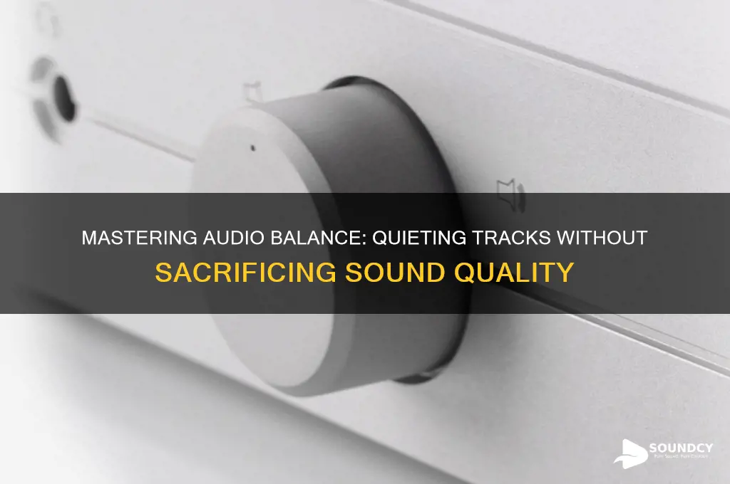 how to ake a track quieter without losing sound