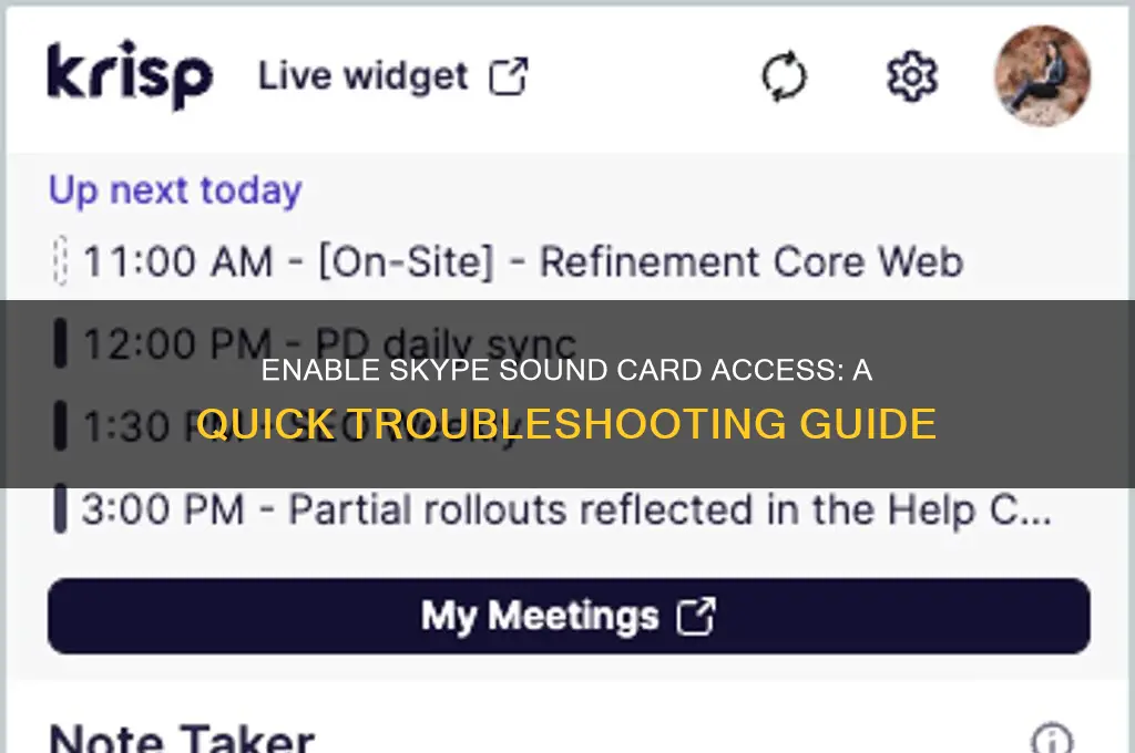 how to allow skype to access my sound card