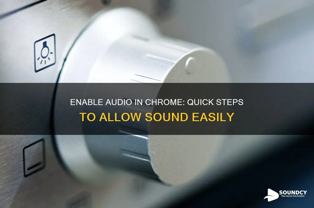 how to allow sound on chrome