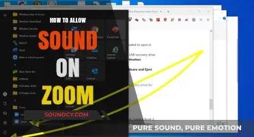 Mastering Zoom Audio: A Quick Guide to Enabling Sound
