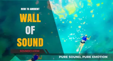 Crafting Immersive Soundscapes: Mastering the Ambient Wall of Sound Technique