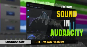 Amplify Your Audio: Mastering Sound Enhancement in Audacity