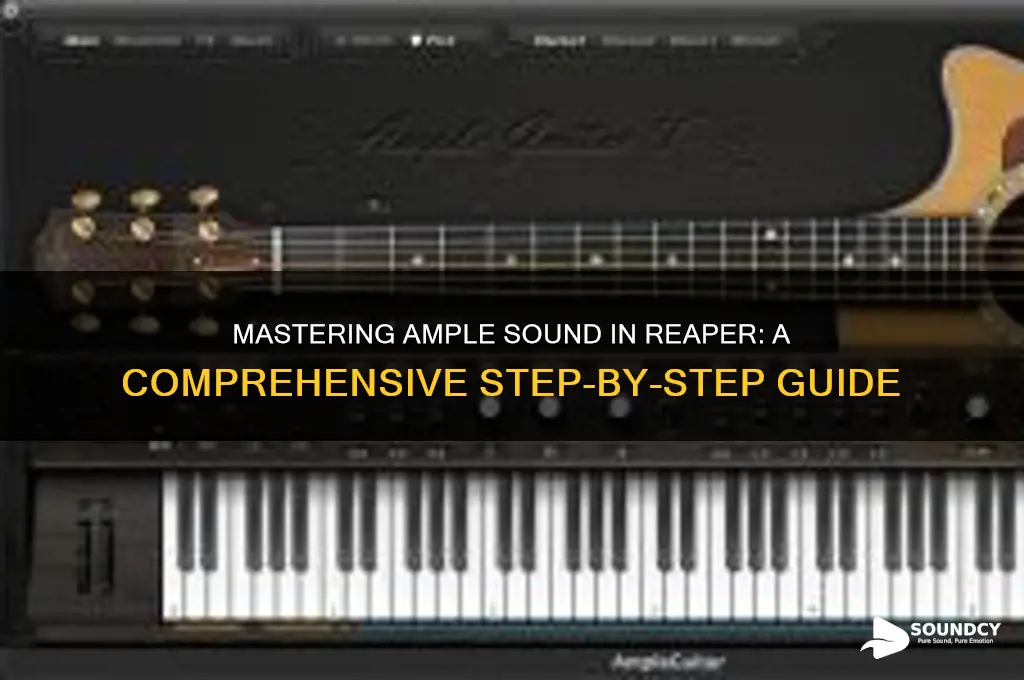 how to ample sound on reaper
