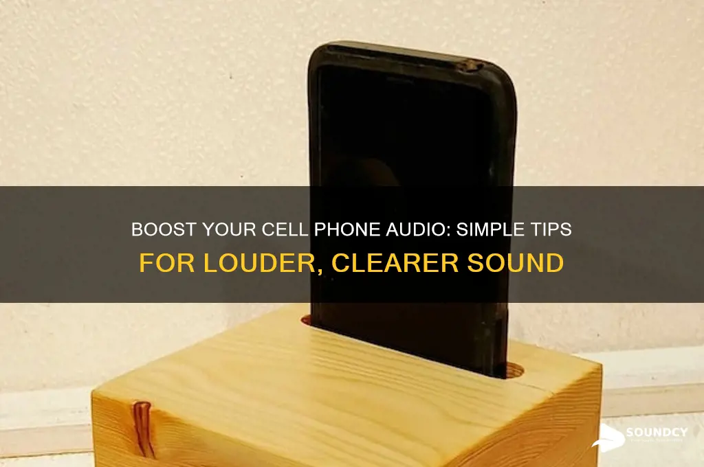 how to amplify cell phone sound