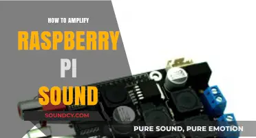 Boost Your Raspberry Pi Audio: Simple Tips for Amplified Sound