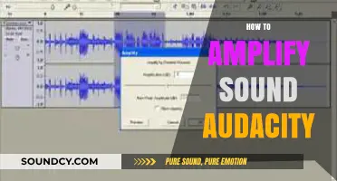 Amplify Your Audio: Mastering Sound Enhancement in Audacity