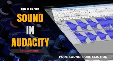 Amplify Your Audio: Mastering Sound Enhancement in Audacity