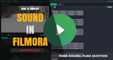 Amplify Audio in Filmora: Enhance Your Video's Sound Quality Easily