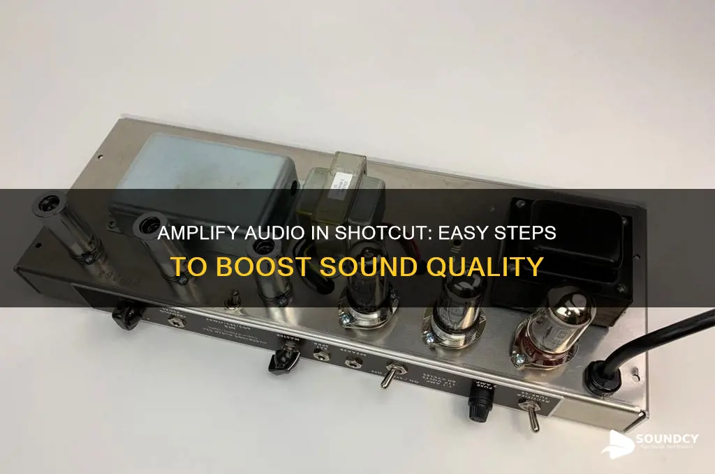 how to amplify sound in shotcut