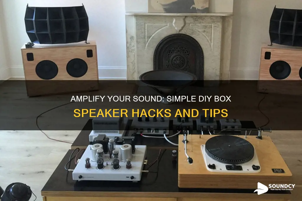how to amplify sound witha box