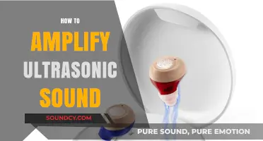 Amplifying Ultrasonic Sound: Techniques, Tools, and Practical Applications