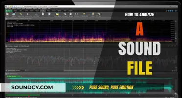 Mastering Sound Analysis: A Step-by-Step Guide to Decoding Audio Files