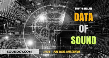 Mastering Sound Data Analysis: Techniques and Tools for Insights