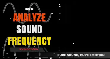 Mastering Sound Analysis: Techniques to Decode and Interpret Frequencies