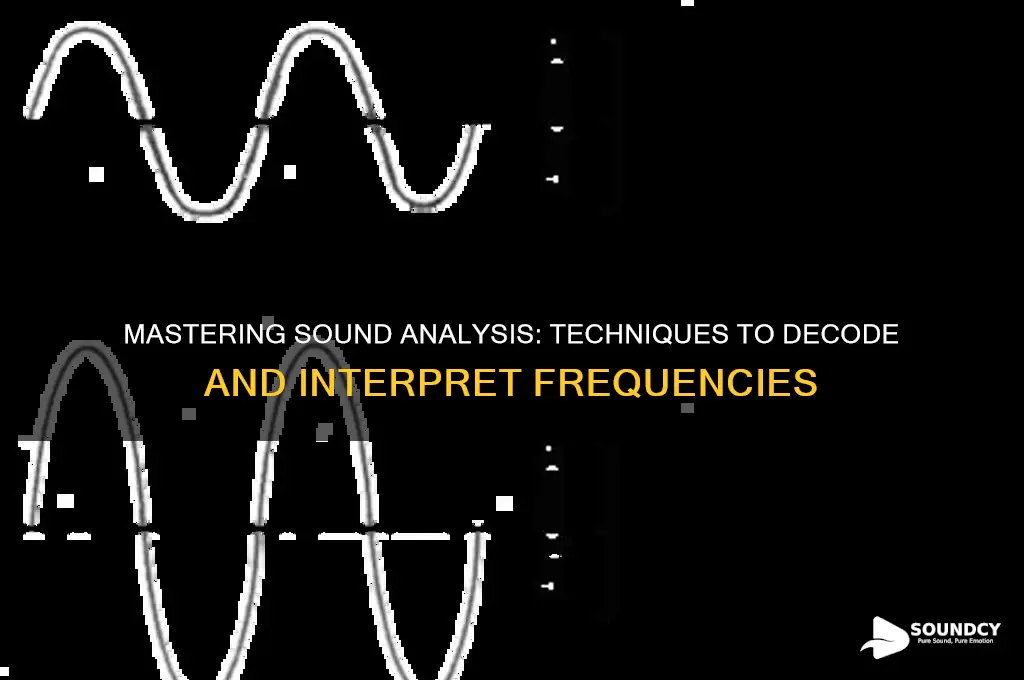how to analyze sound frequency