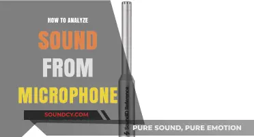 Mastering Microphone Sound Analysis: Techniques and Tools for Accurate Results