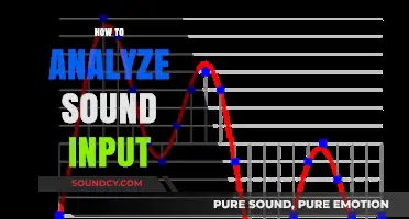 Mastering Sound Analysis: Techniques to Decode and Interpret Audio Input