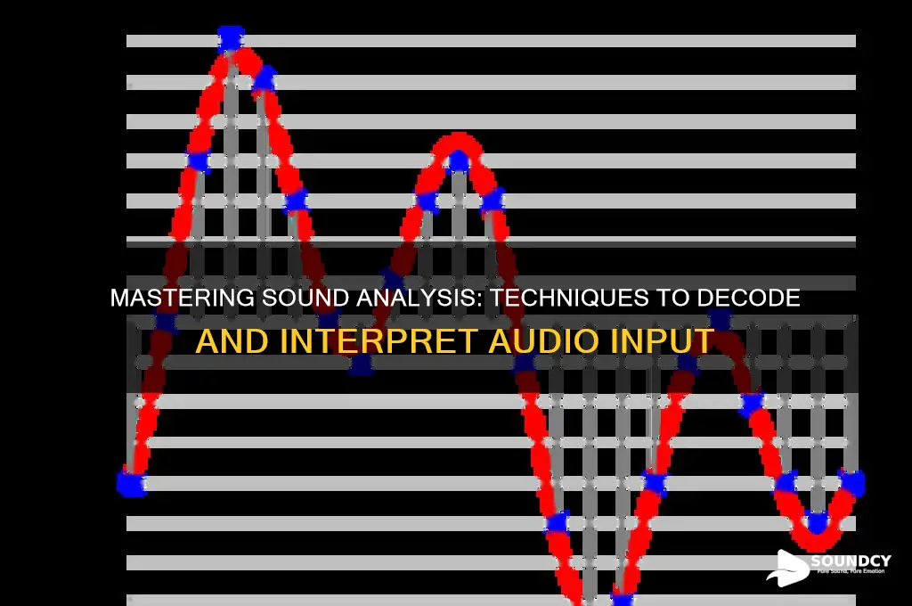how to analyze sound input